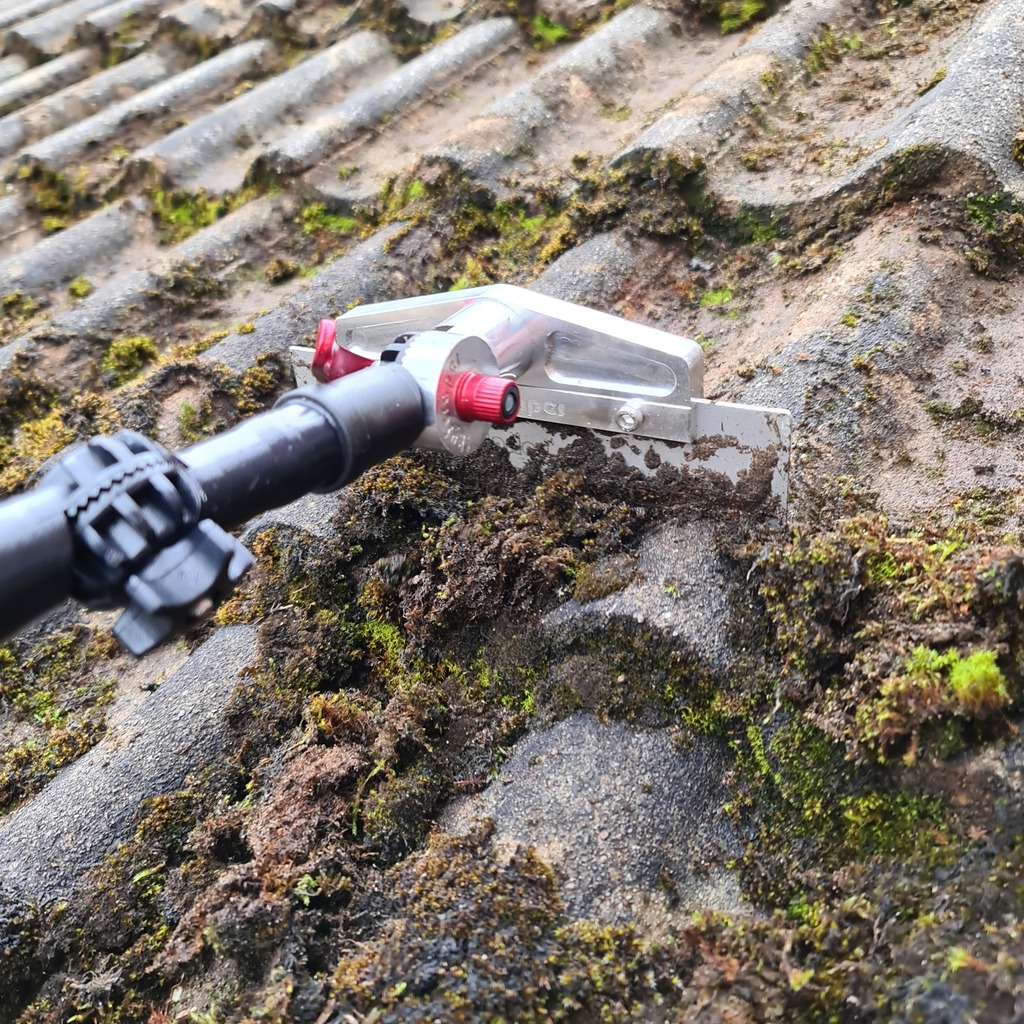 Moss and lichen removal