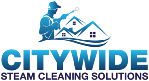 citywidesteamcleaningsolutions.co.uk